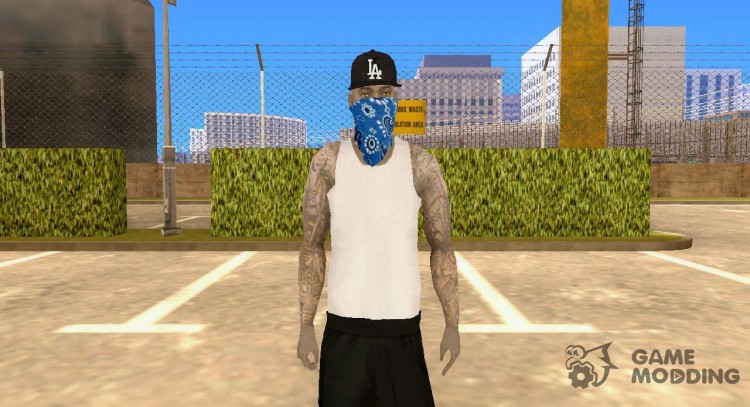 Quality replacement skin vla1 for GTA San Andreas