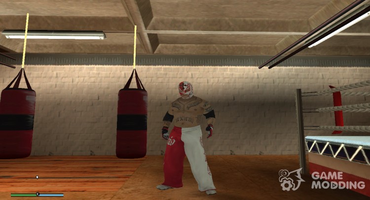 WWE Fighters for GTA San Andreas
