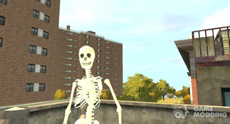 Skeleton for GTA 4
