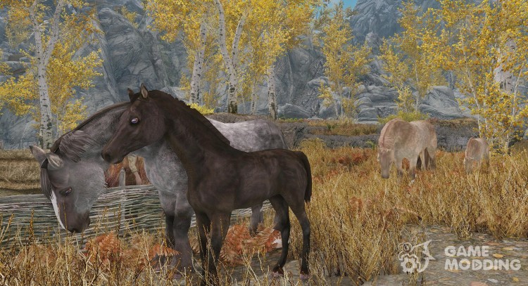 Foals of Skyrim for TES V: Skyrim
