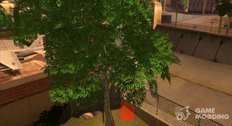Apple Tree for GTA San Andreas