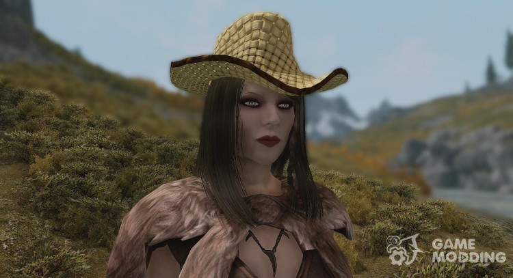 Un sombrero de paja para TES V: Skyrim