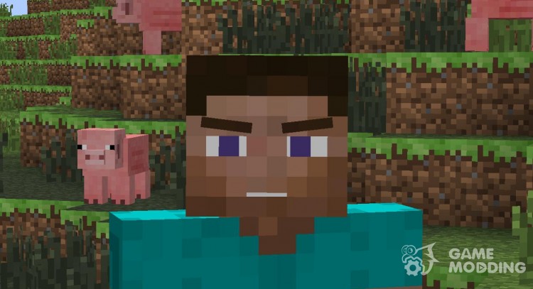 Animated Player for Minecraft