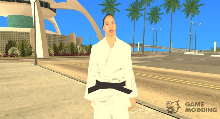 Ретекстурированные каратисты para GTA San Andreas