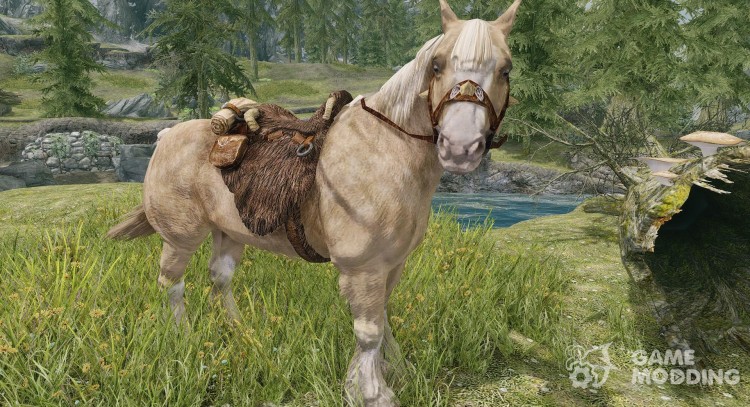 El caballo del jugador para TES V: Skyrim