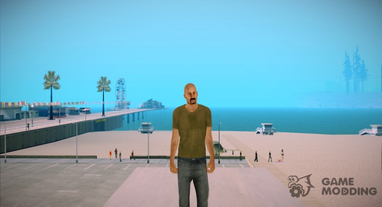 Vwmycd для GTA San Andreas