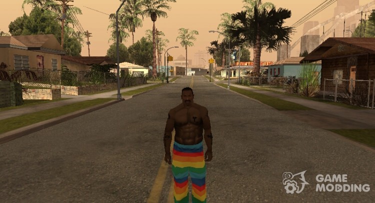 Радужные штаны для GTA San Andreas