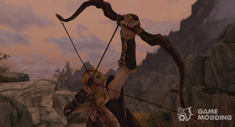 Whiterun Archery Pro Shop - All Bows Arrows and Training for TES V: Skyrim