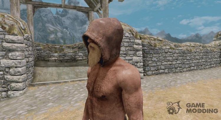 The Hood of The Narcoleptic Thief for TES V: Skyrim