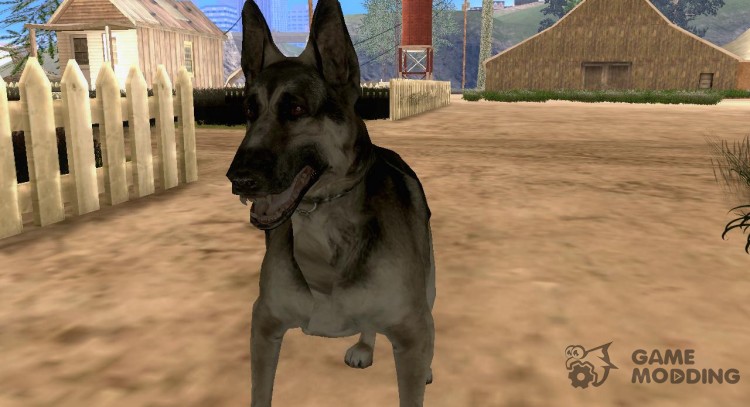 Пёс для GTA San Andreas