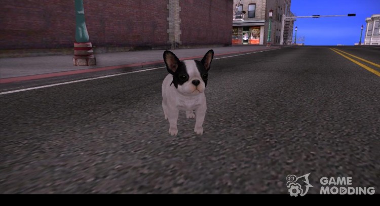 Bulldog francés para GTA San Andreas