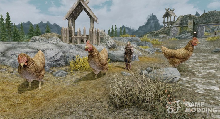 Las gallinas del tamaño de una persona para TES V: Skyrim