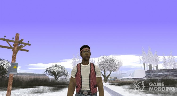 The Warriors ' Young Blood for GTA San Andreas