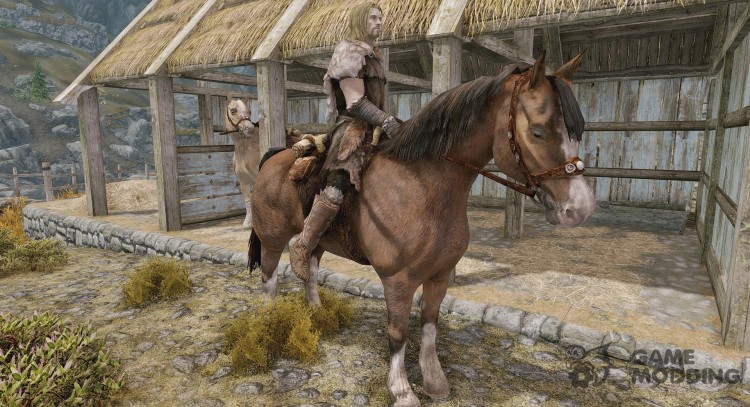 About Horses for TES V: Skyrim