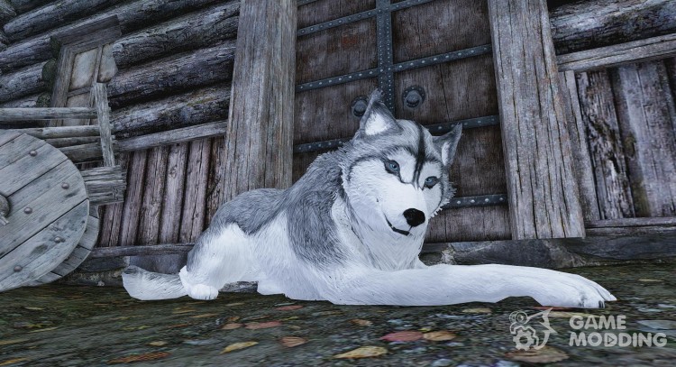 Summon Huskies and Co - Mounts and Followers for TES V: Skyrim