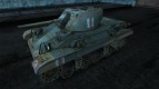Skin for tank M22 Locust