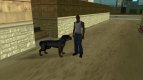 Rottweiler