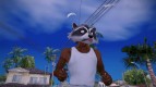 Raccoon mask (GTA V Online)