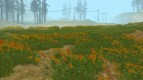 Dream Grass (Low PC)