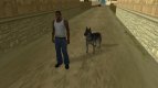 Perro
