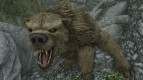 Werebears Found in Skyrim