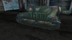Skin for S-35 CA