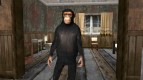 Monkey GTA V v2