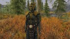 Blued Steel Plate Armor