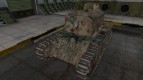 French skin for ARL 44