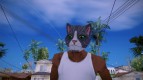Cat mask (GTA V Online)