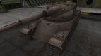 Veiled French skin for AMX 50120
