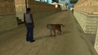 Tigris