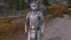 SPOA Silver Knight Armor