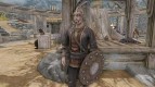 Neutral Druid Armor