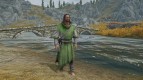 HighRes colored Magechainmail Armor