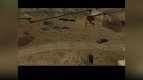 Перестрелка Grove Street и Ballas в каньоне