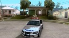 The police of GTA4