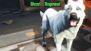 White dog ghost