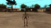 Skeleton