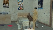 Nude mod for CJ Nude mod for CJ