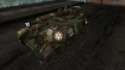 Skin for T57