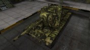 Skin for HF-5 with camouflage