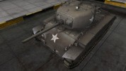 The skin for the T21