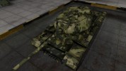 Skin for IP with camouflage