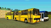 Автобусы с гармошкой  миниатюра 4