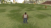 Новая растительность HQ для GTA San Andreas миниатюра 4