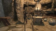 Beast Skeletons для TES V: Skyrim миниатюра 7