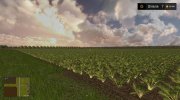 Черновское для Farming Simulator 2017 миниатюра 1