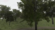 Текстуры деревьев из MGR для GTA San Andreas миниатюра 1