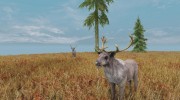 Kedovskoe kingdom RU EN para TES V: Skyrim miniatura 21